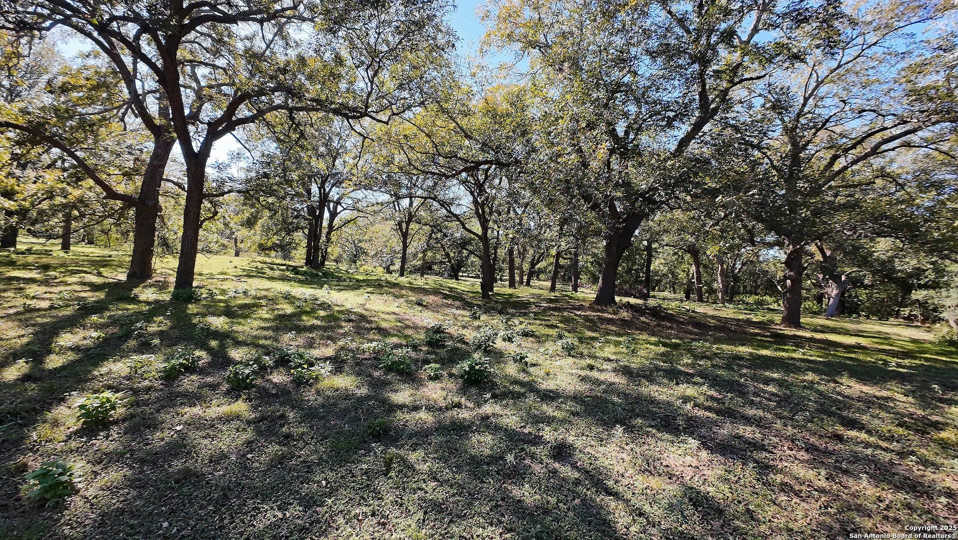 101.2 acres in Guadalupe County - photo 14