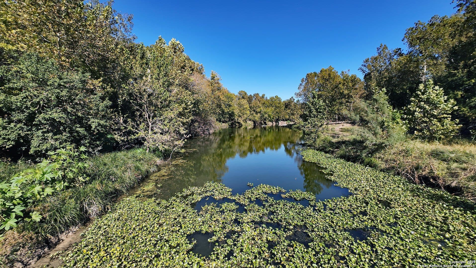 101.2 acres in Guadalupe County gallery image 2