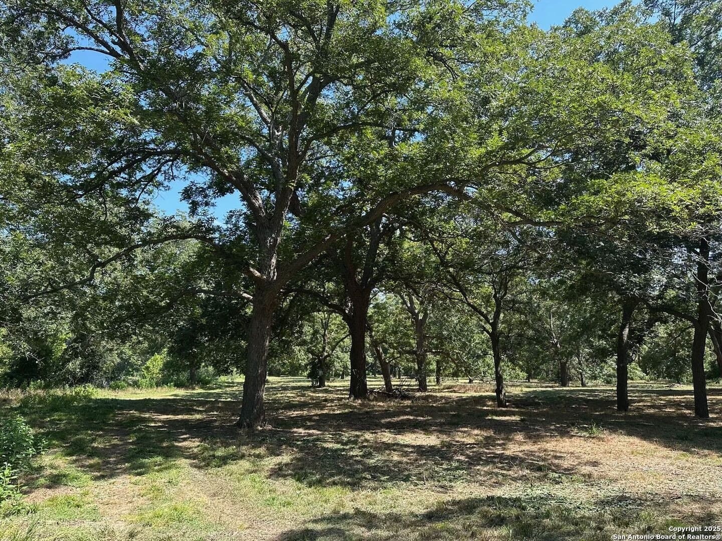 101.2 acres in Guadalupe County - photo 15