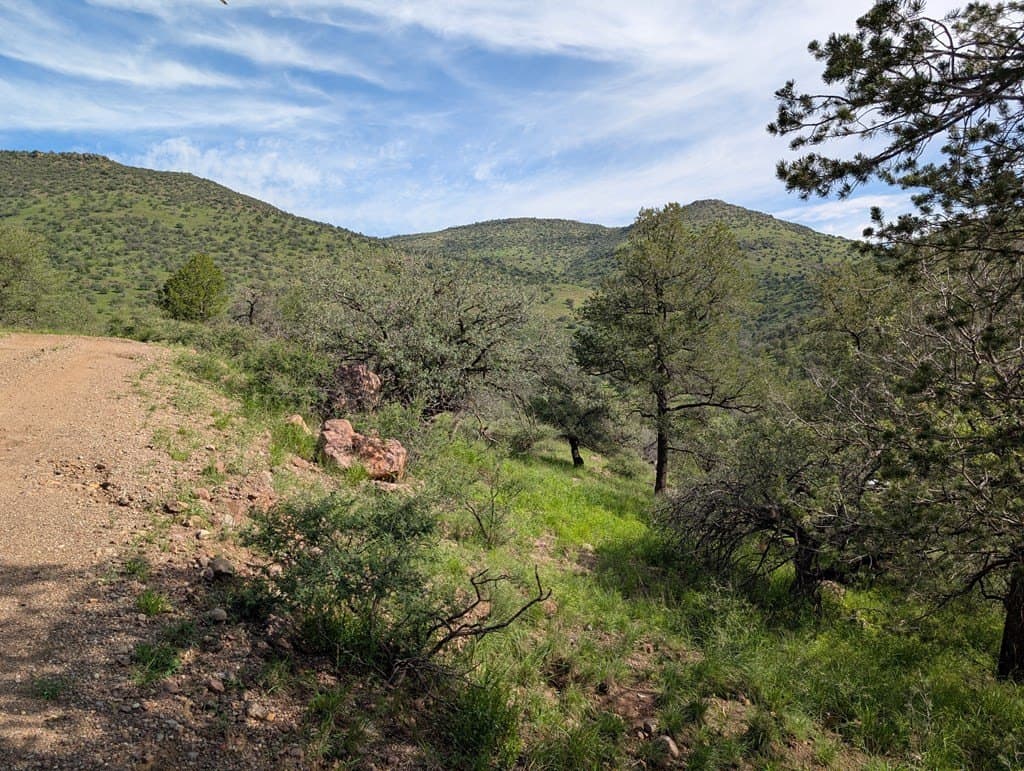 6.15 acres in Jeff Davis County gallery image 4