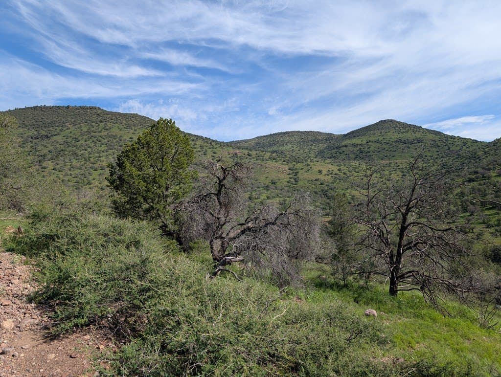 6.15 acres in Jeff Davis County featured view