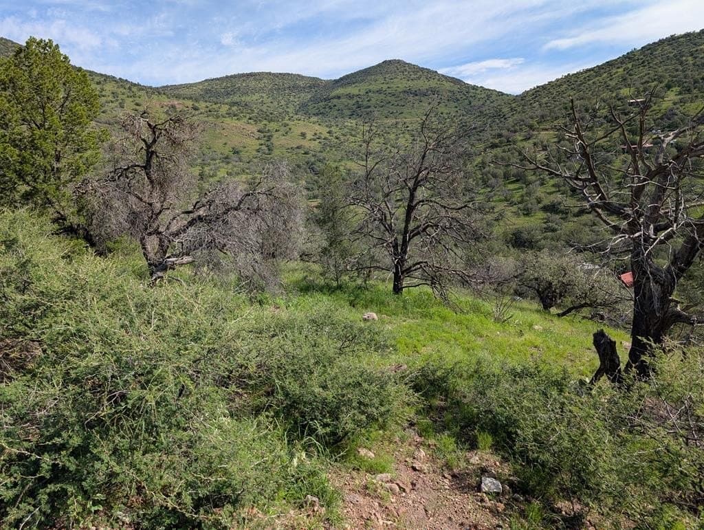 6.15 acres in Jeff Davis County