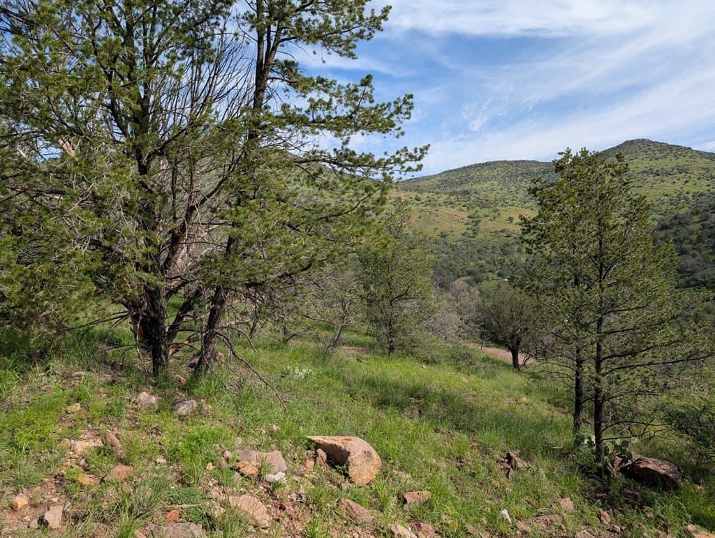 6.15 acres in Jeff Davis County gallery image 2