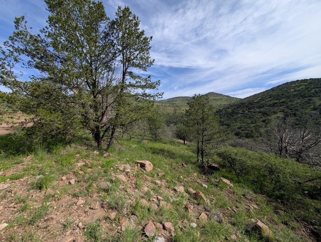 6.15 acres in Jeff Davis County gallery image 3