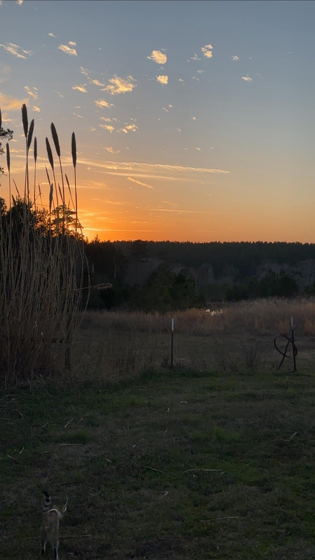 27 acres in Harrison County - photo 39