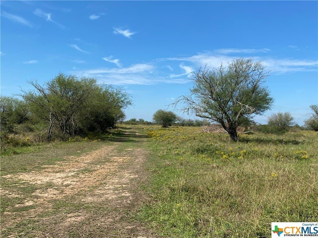 76.52 acres in Victoria County featured view
