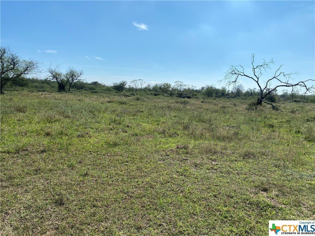 76.52 acres in Victoria County - photo 7