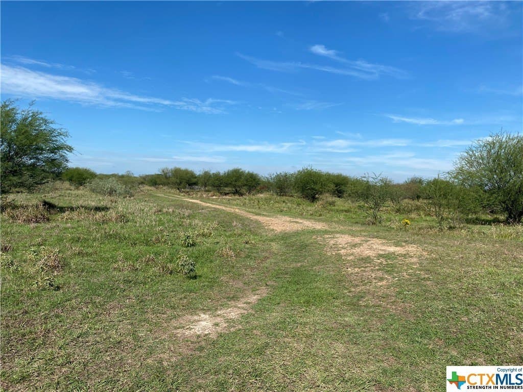 76.52 acres in Victoria County - photo 6