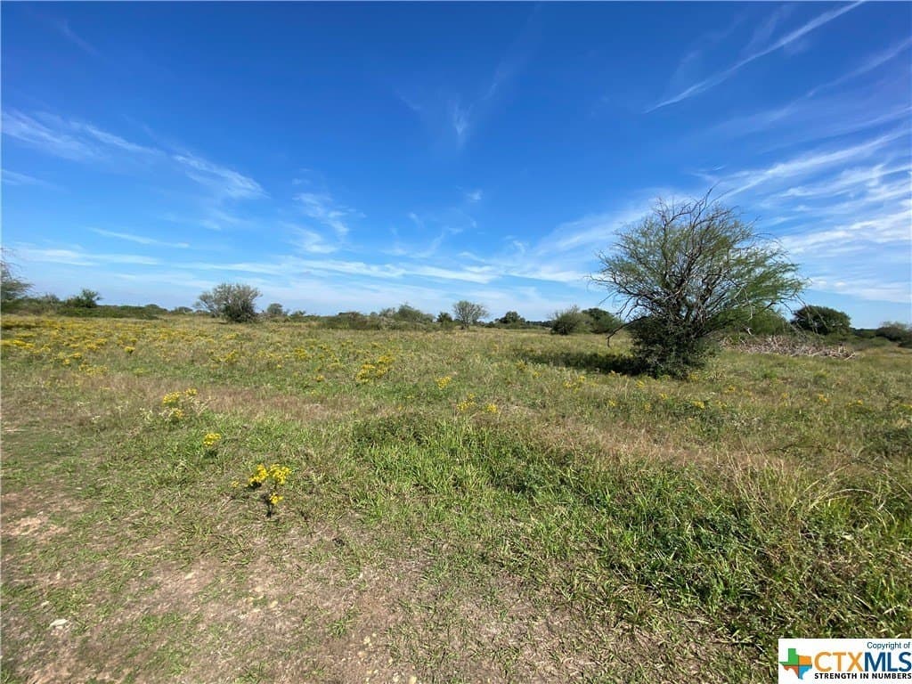 76.52 acres in Victoria County gallery image 3