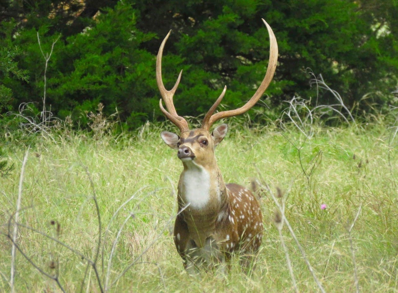 263.02 acres in Brown County - photo 9