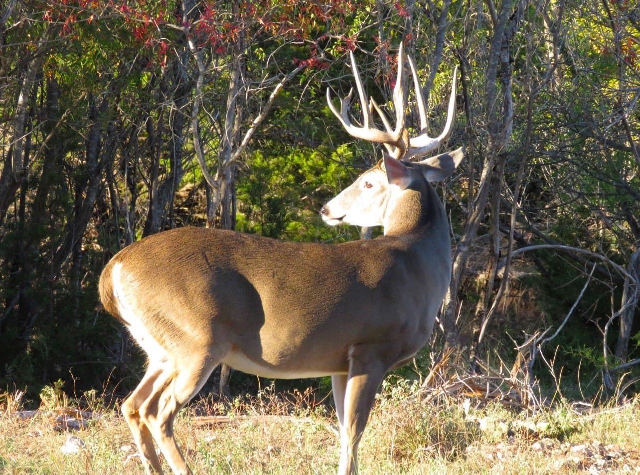 263.02 acres in Brown County featured view