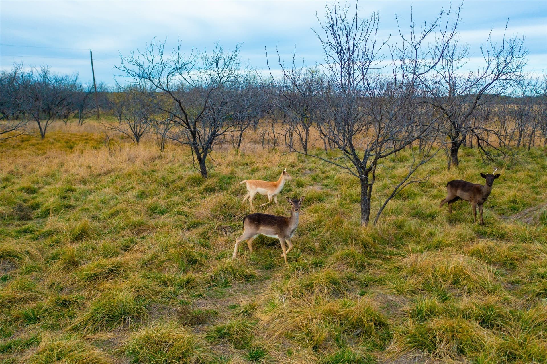 263.02 acres in Brown County - photo 27