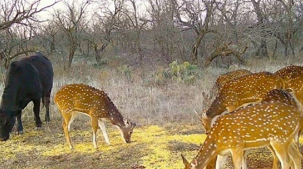 263.02 acres in Brown County - photo 21