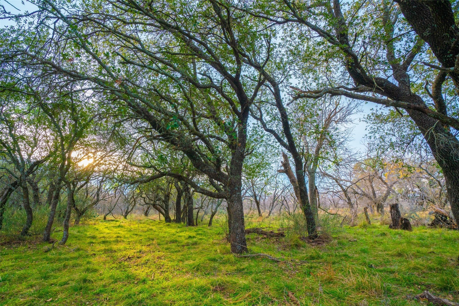 263.02 acres in Brown County - photo 26