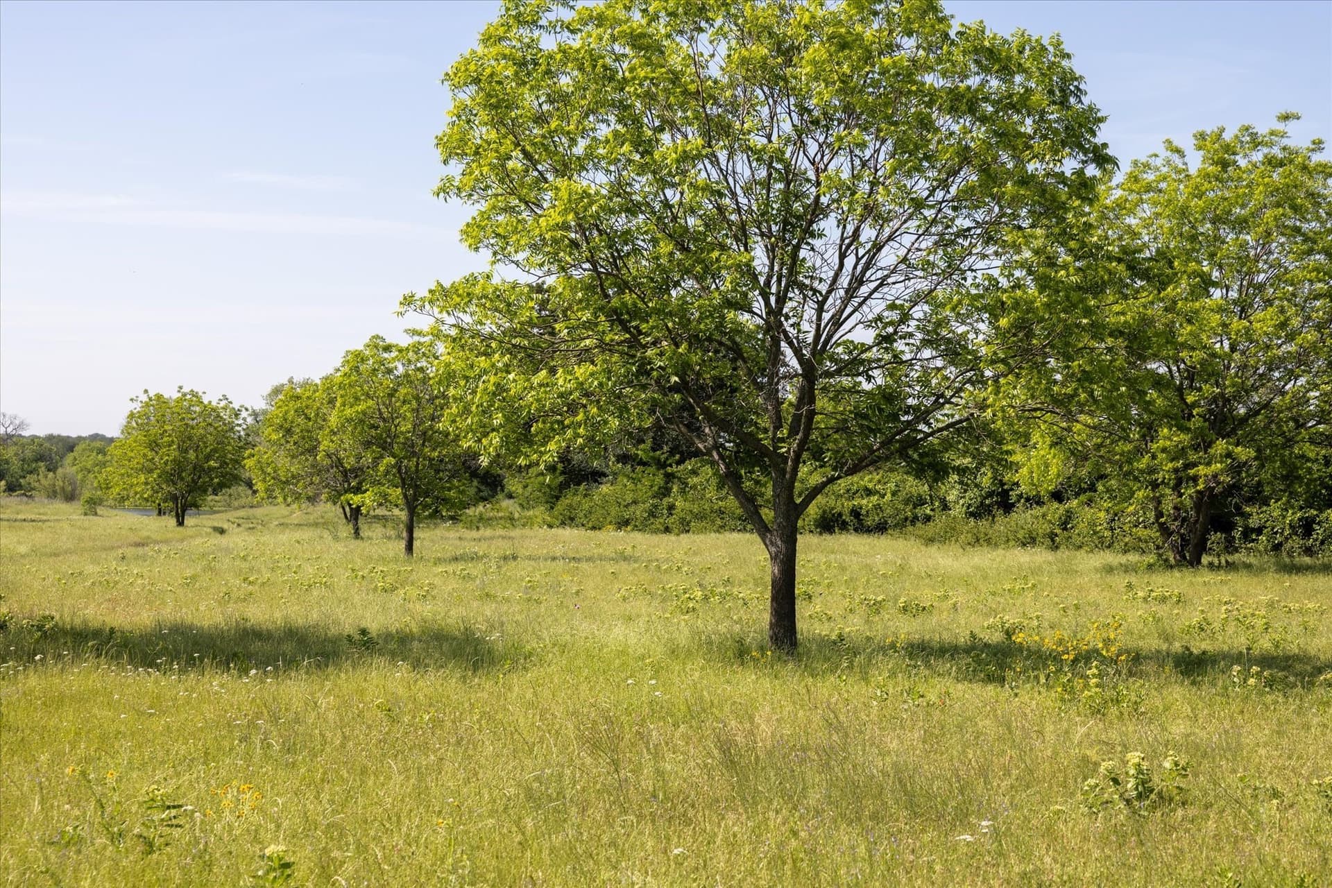 84.93 acres in Hood County - photo 5