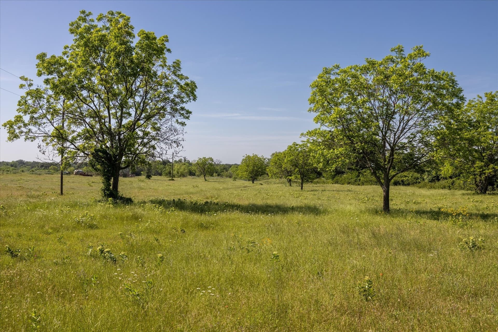 84.93 acres in Hood County - photo 6