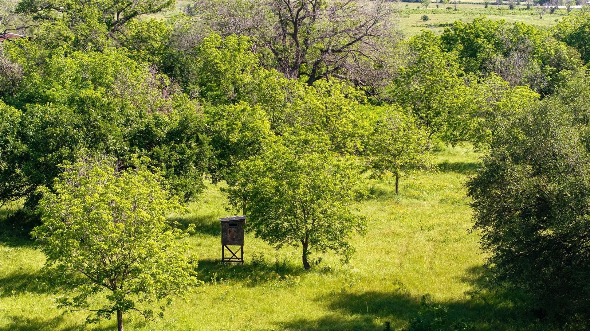 84.93 acres in Hood County - photo 19