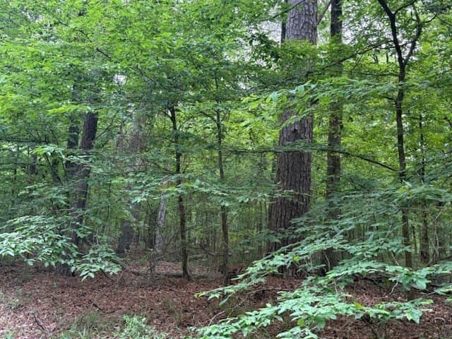 0.76 acres in Texas County gallery image 4