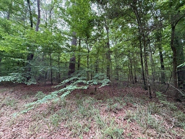 0.76 acres in Texas County gallery image 3