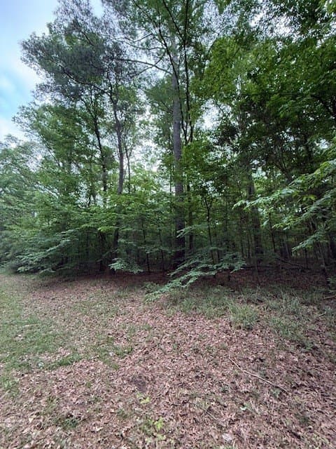 0.76 acres in Texas County gallery image 2