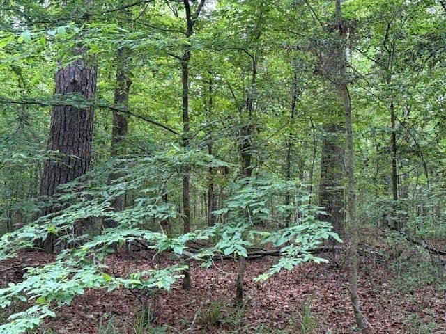 0.76 acres in Texas County featured view