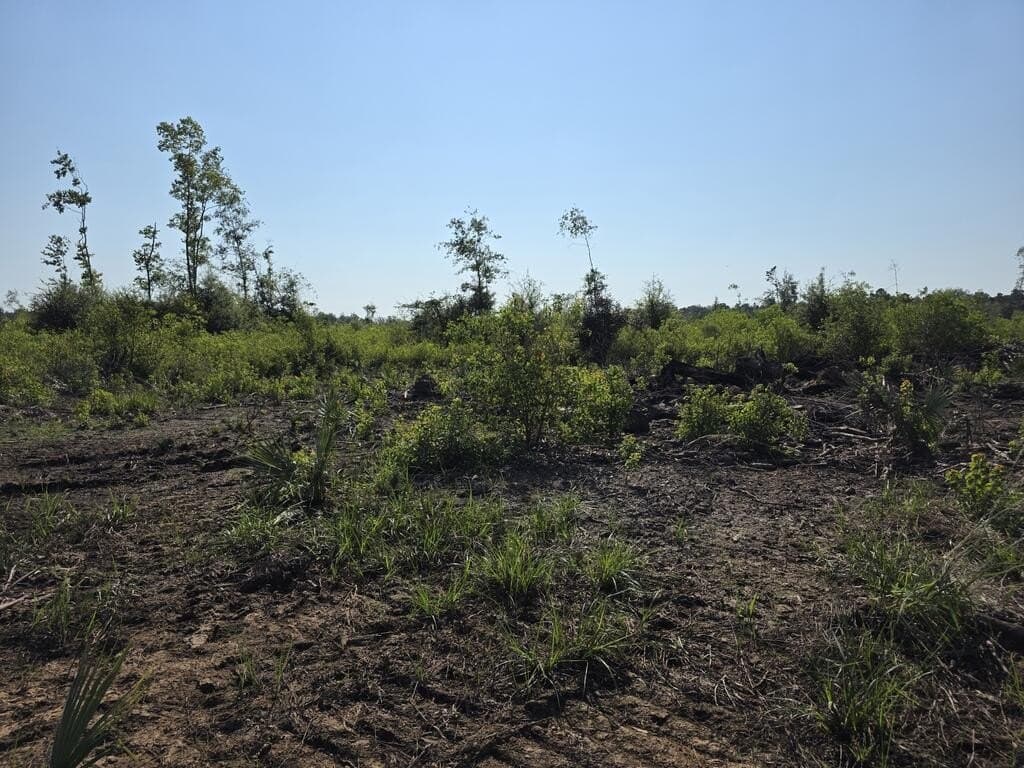 61.33 acres in Texas County - photo 33