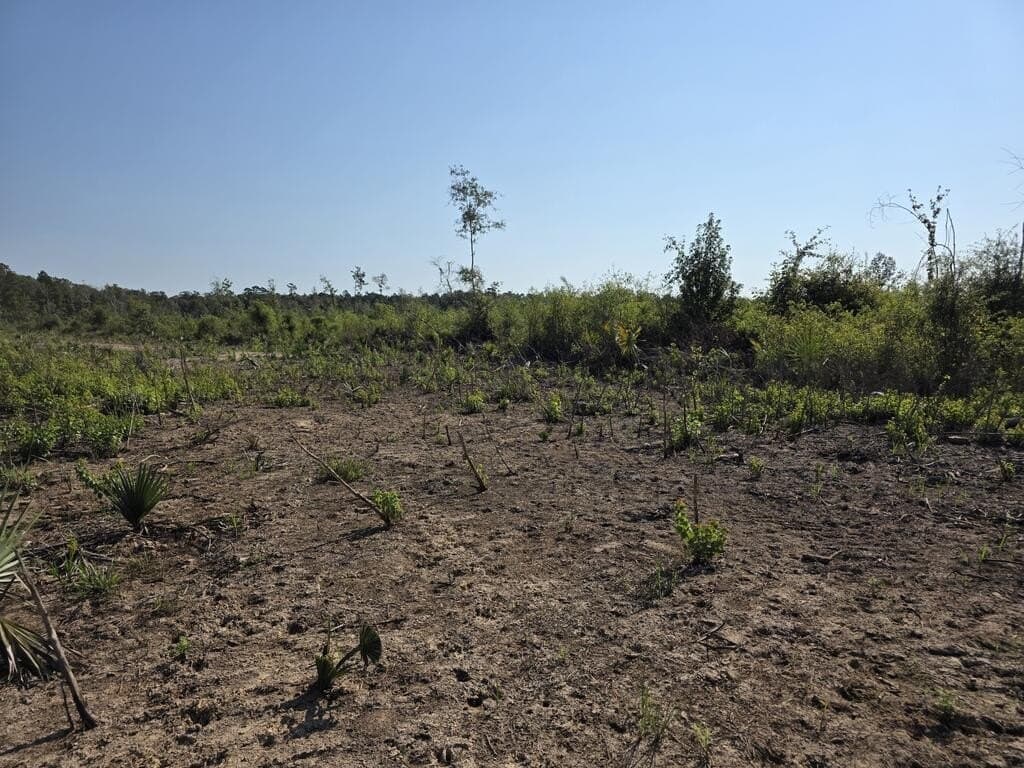 61.33 acres in Texas County - photo 20