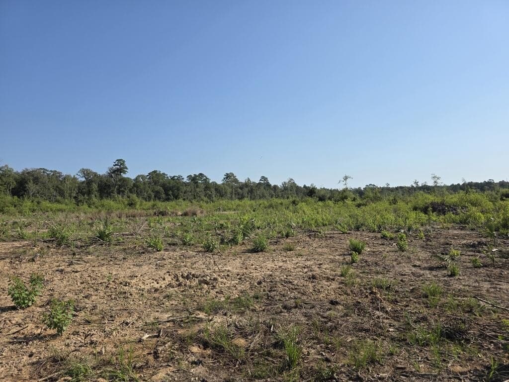 61.33 acres in Texas County - photo 14