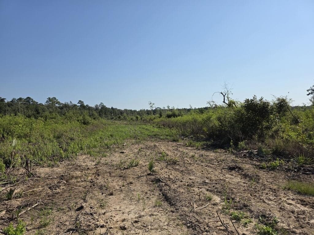 61.33 acres in Texas County - photo 18