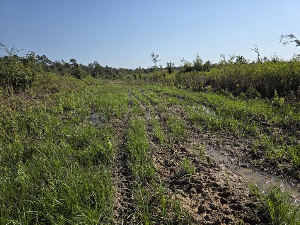 61.33 acres in Texas County - photo 19