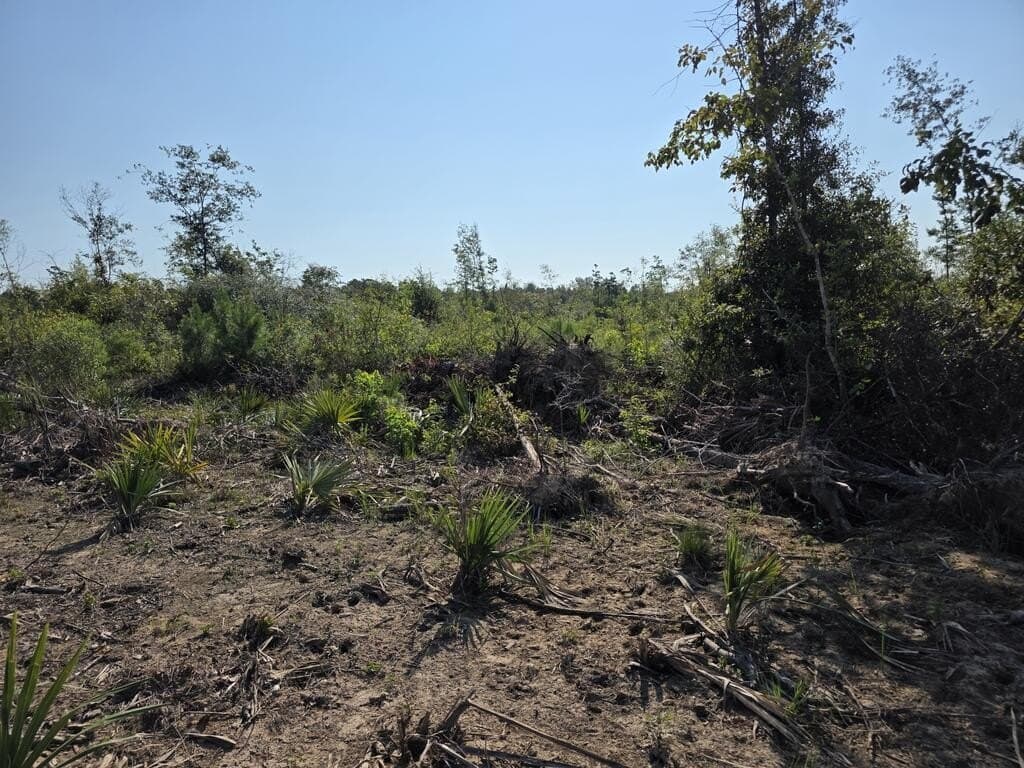 61.33 acres in Texas County - photo 27