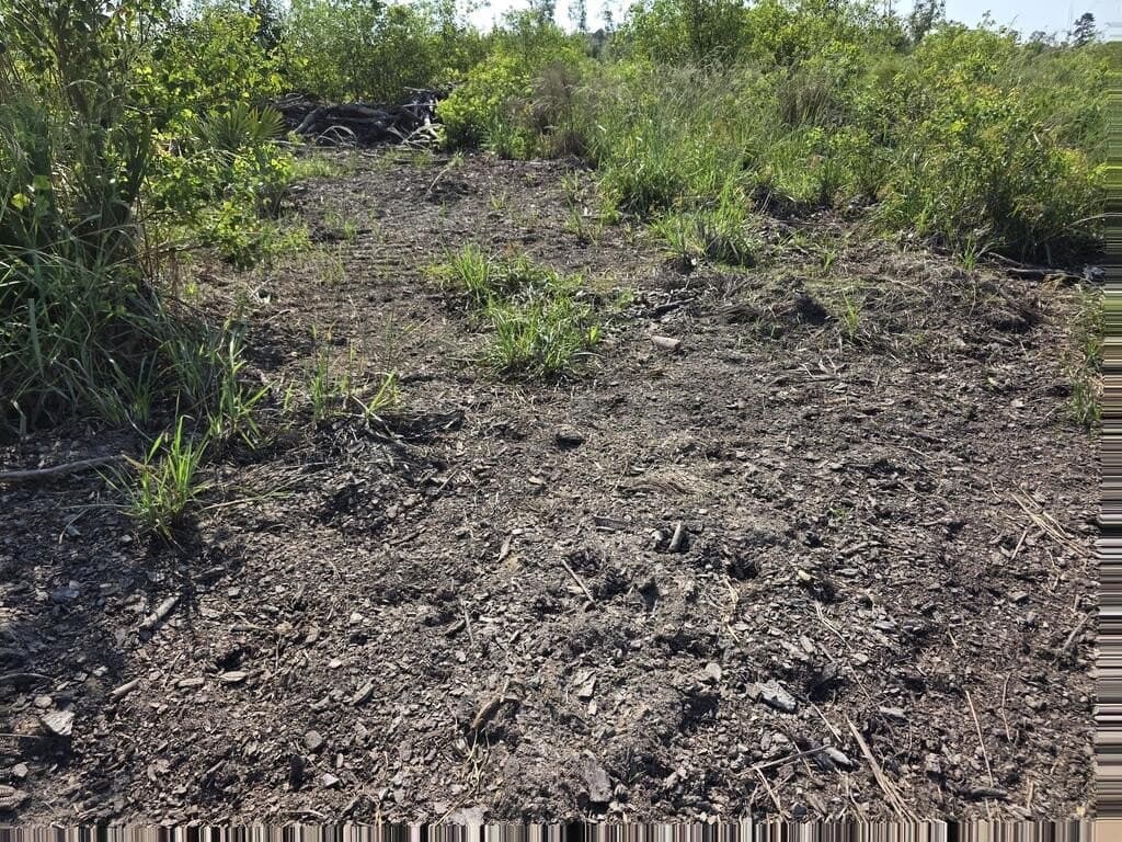 61.33 acres in Texas County - photo 36