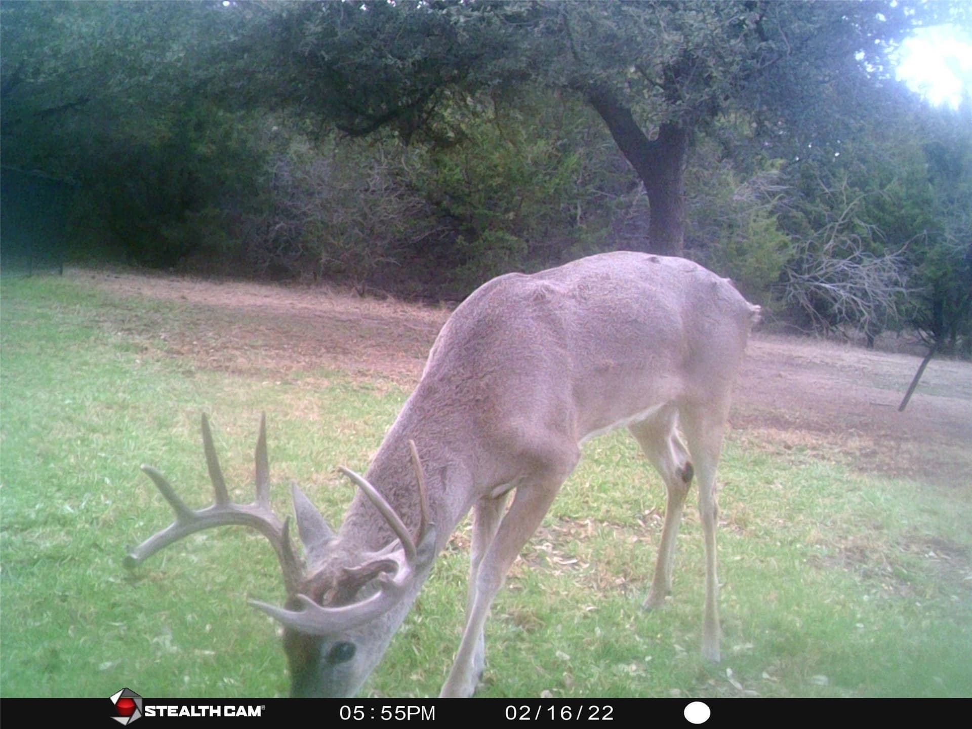 0.26 acres in Hill County - photo 37