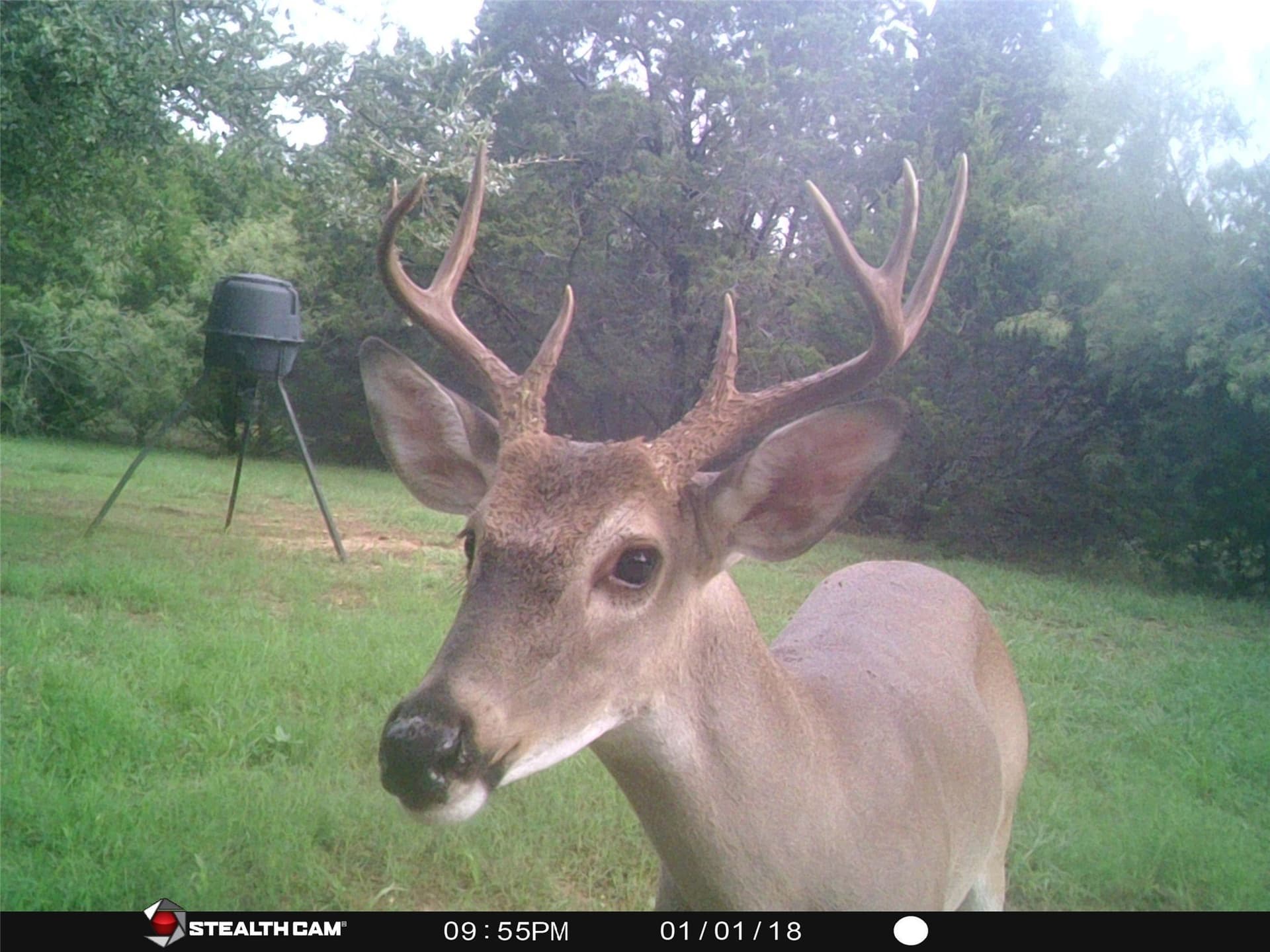 0.26 acres in Hill County - photo 3