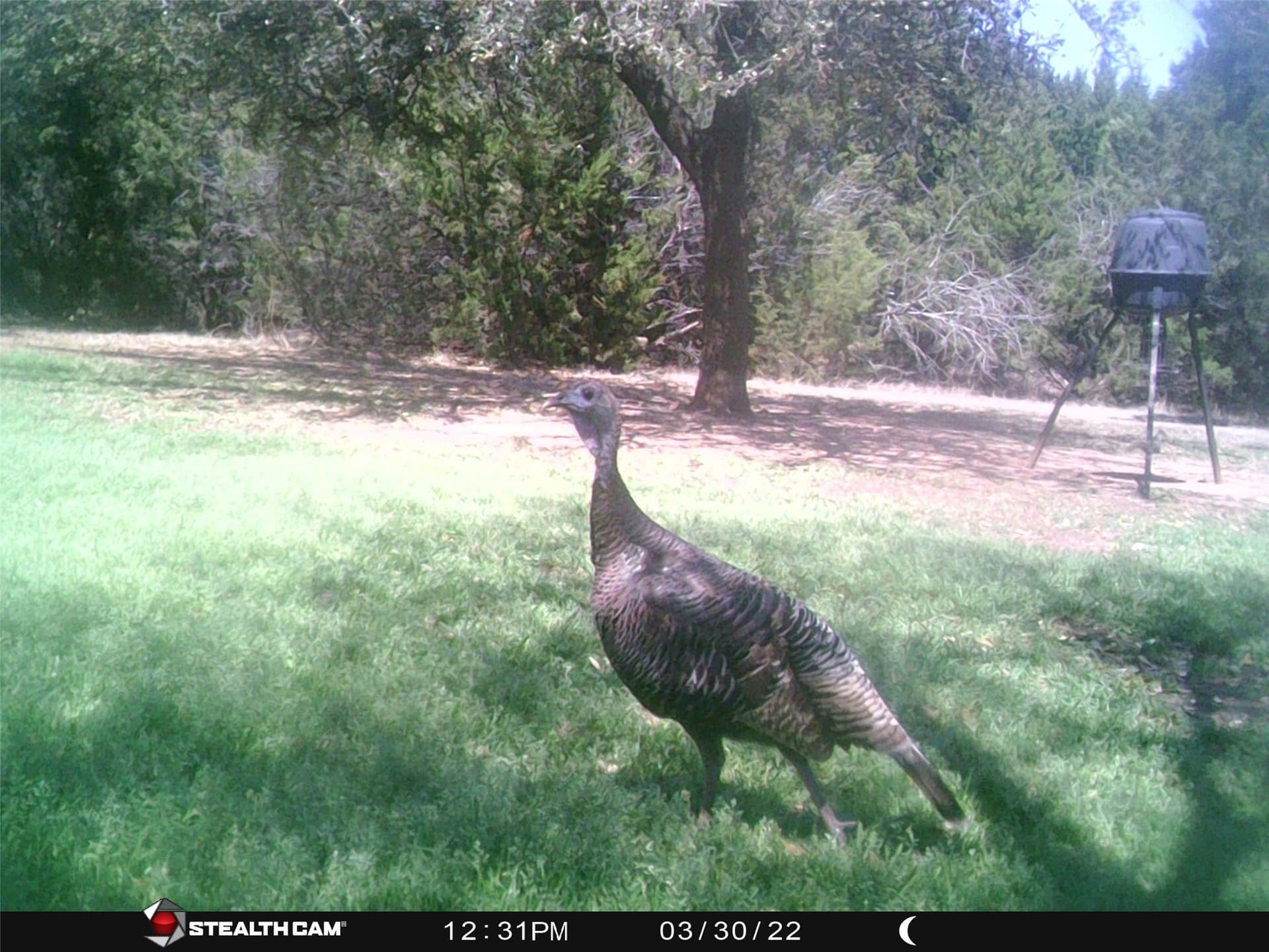 0.26 acres in Hill County - photo 38