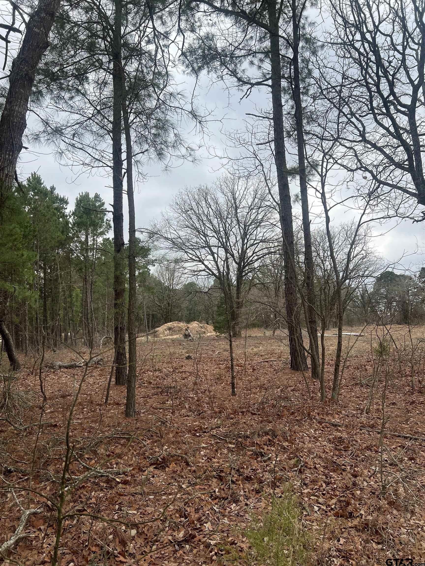 7.96 acres in Smith County gallery image 2