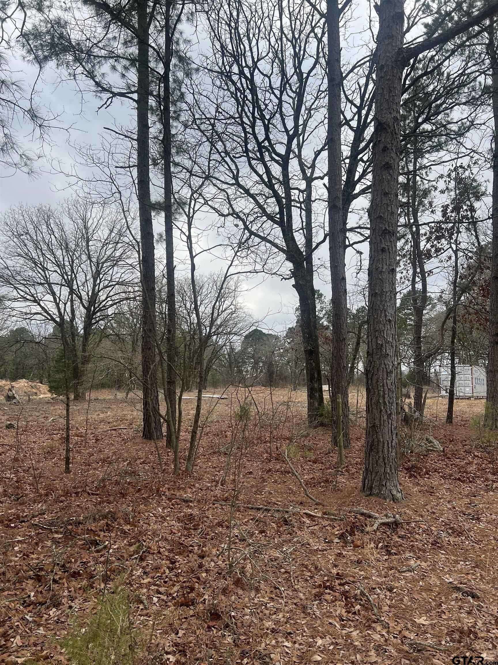 7.96 acres in Smith County gallery image 3