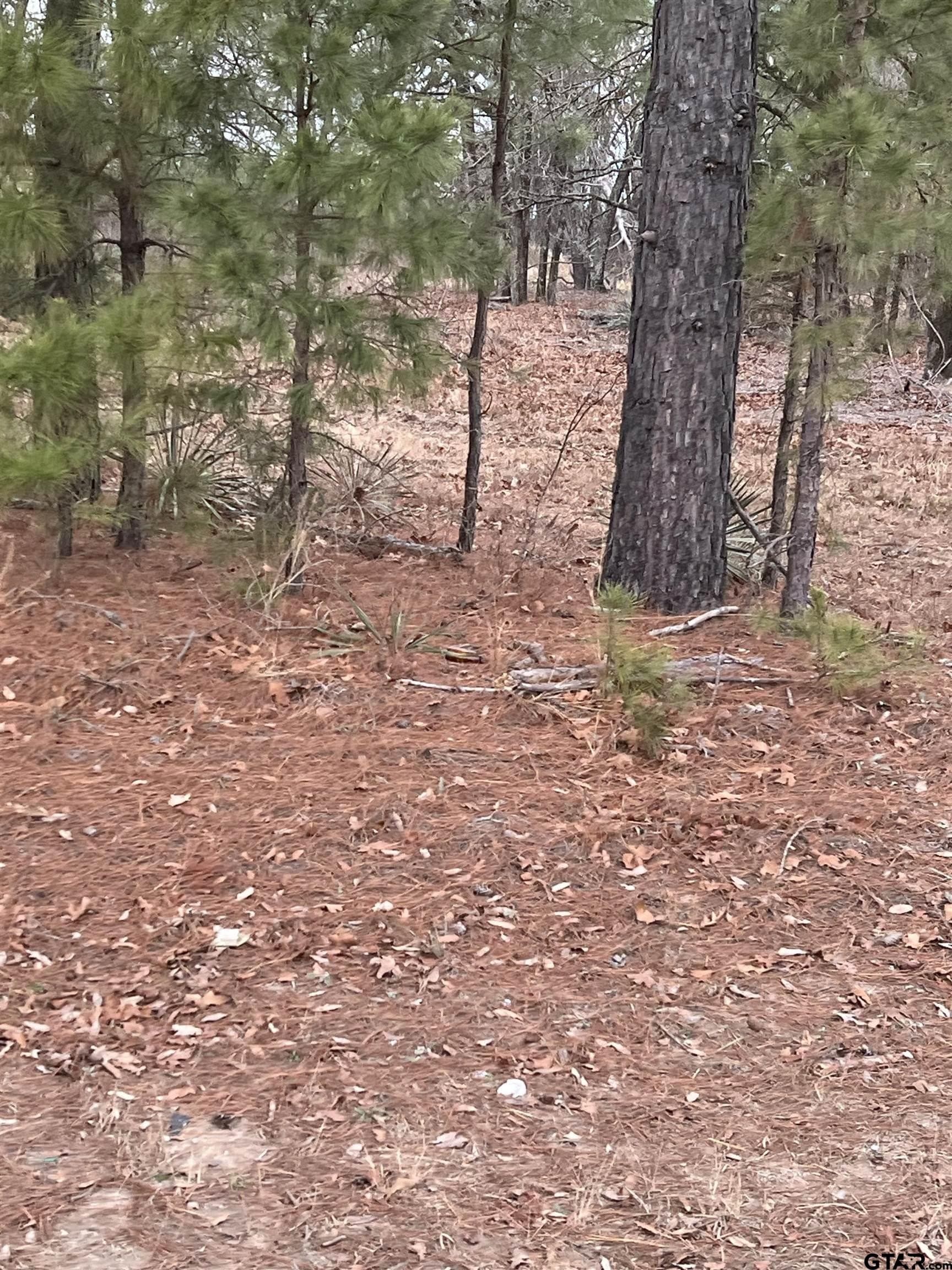 7.96 acres in Smith County gallery image 4