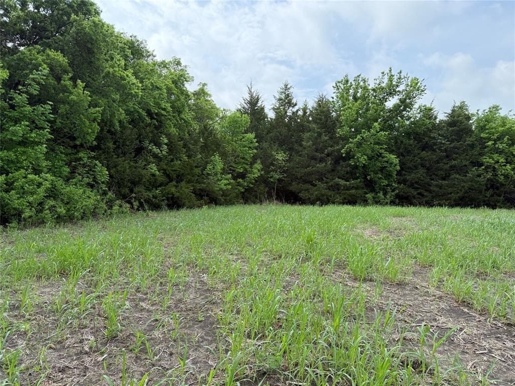 49.86 acres in Lamar County featured view