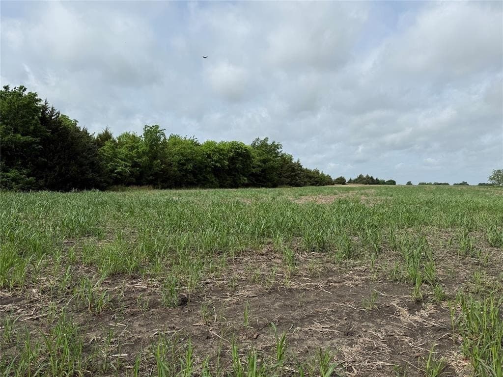 49.86 acres in Lamar County gallery image 3