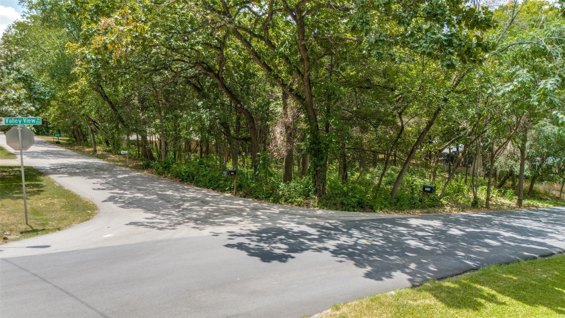 0.35 acres in Dallas County - photo 5