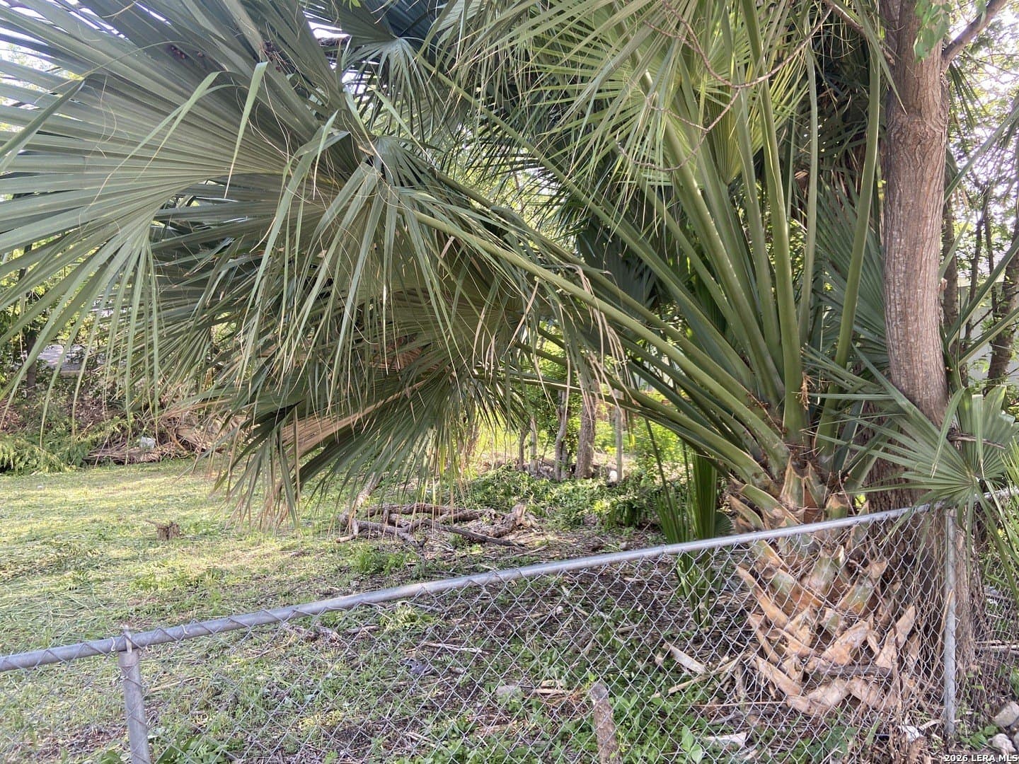 0.06 acres in Bexar County featured view