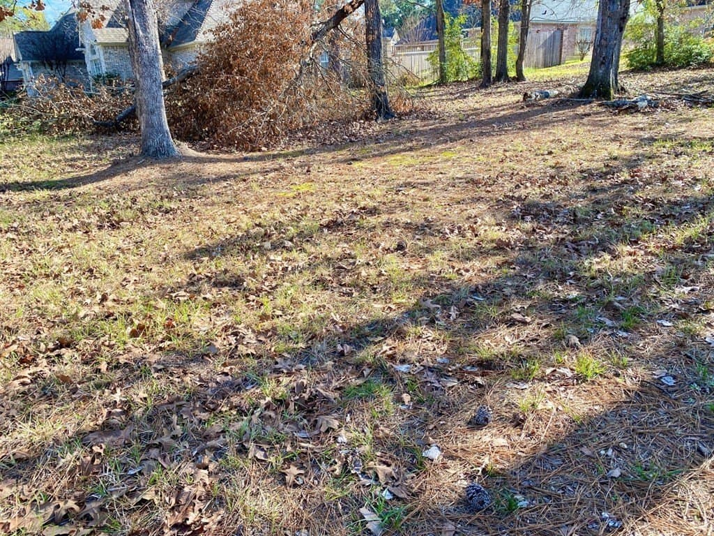 0.27 acres in Texas County gallery image 4