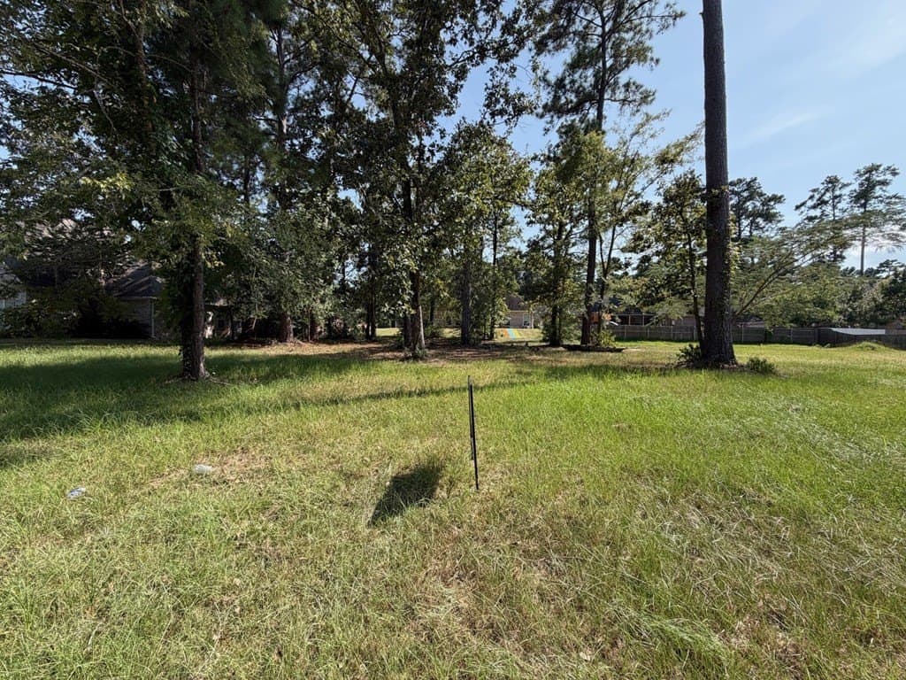 0.27 acres in Texas County - photo 2