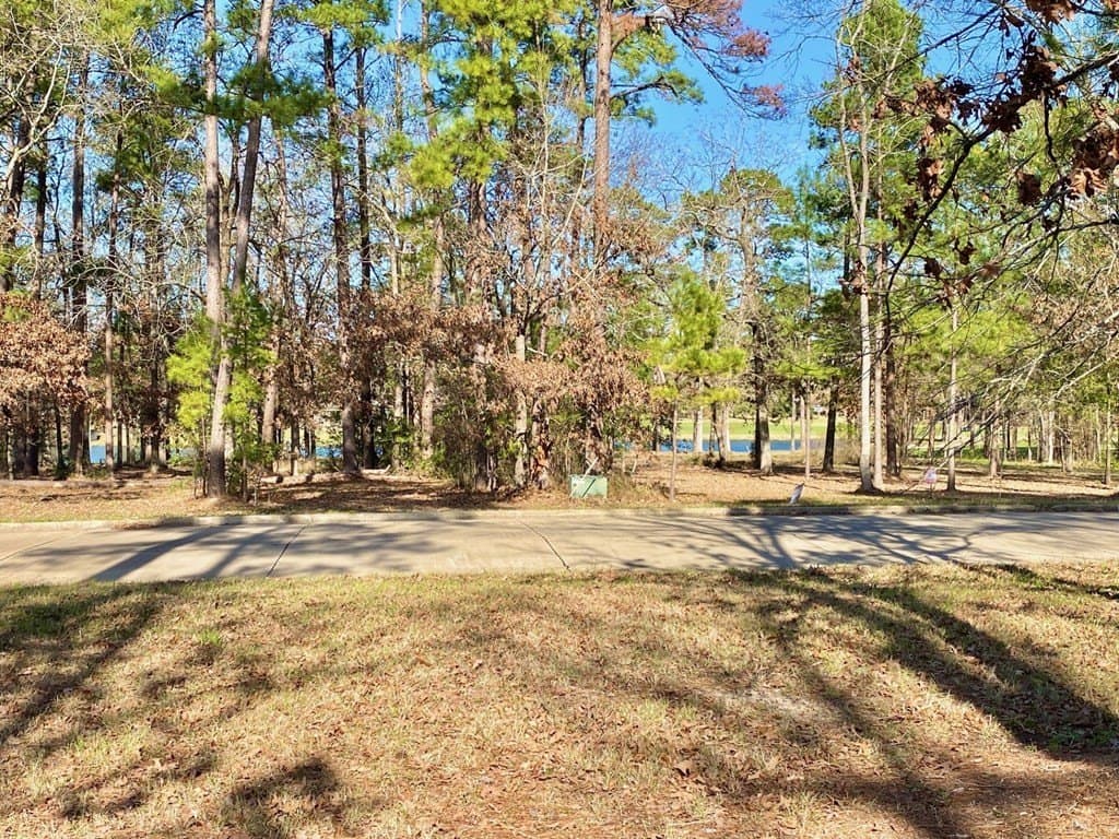 0.27 acres in Texas County featured view