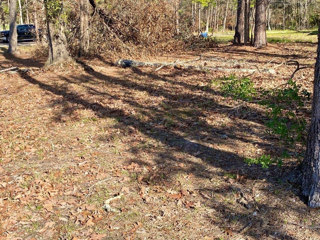 0.27 acres in Texas County gallery image 2