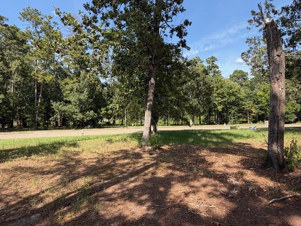 0.27 acres in Texas County - photo 5