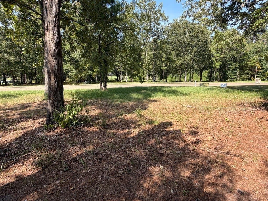0.27 acres in Texas County - photo 3