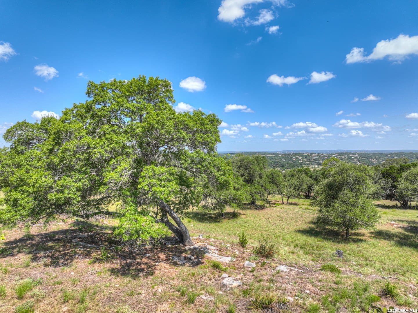 0.55 acres in Comal County gallery image 2