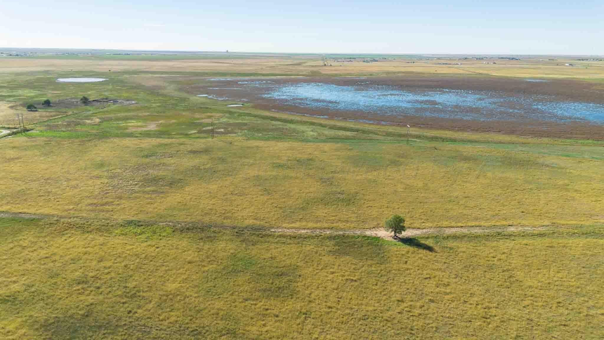 1,207.26 acres in Carson County - photo 12